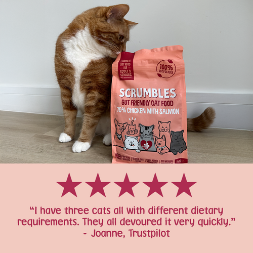 Chicken & Salmon Dry Cat Food