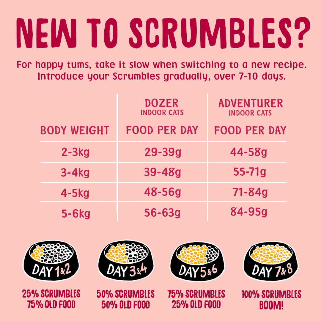 Chicken & Salmon Dry Cat Food Feeding