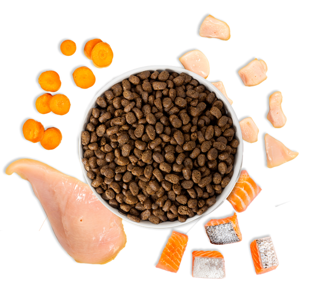 chicken and salmon dry cat food