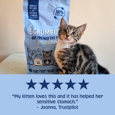 Kittens & Queens Dry Cat Food Review