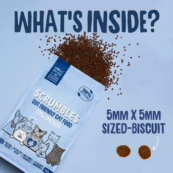 Kittens & Queens Dry Cat Food Size