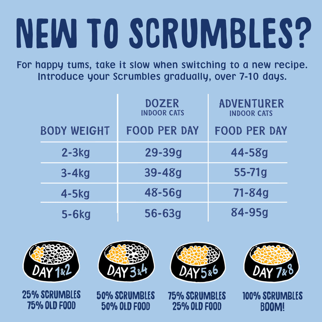 Kittens & Queens Dry Cat Food Feeding