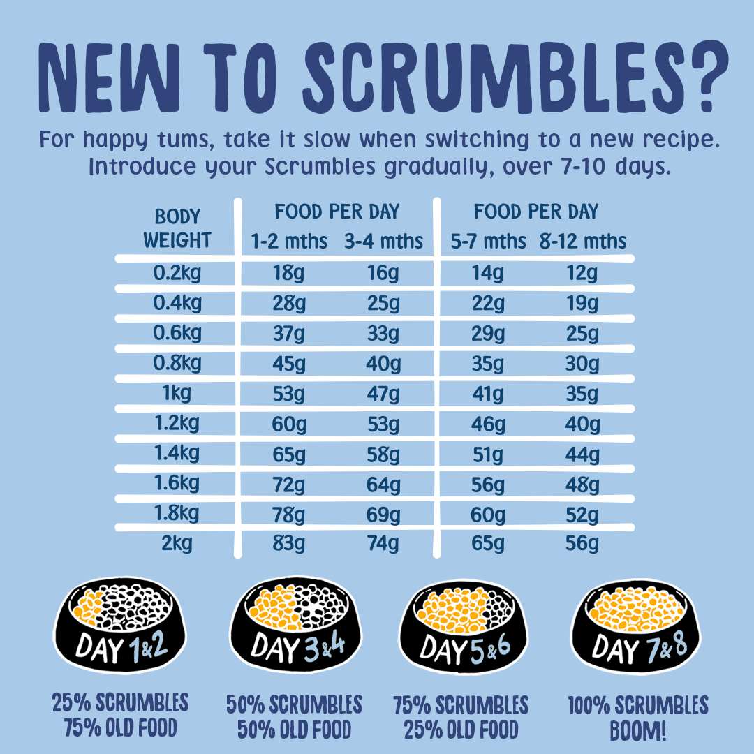 Kittens & Queens Dry Cat Food Feeding