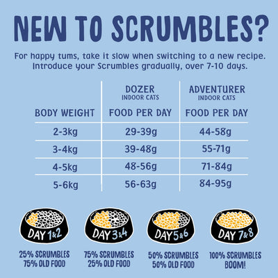 Kittens & Queens Dry Cat Food Feeding