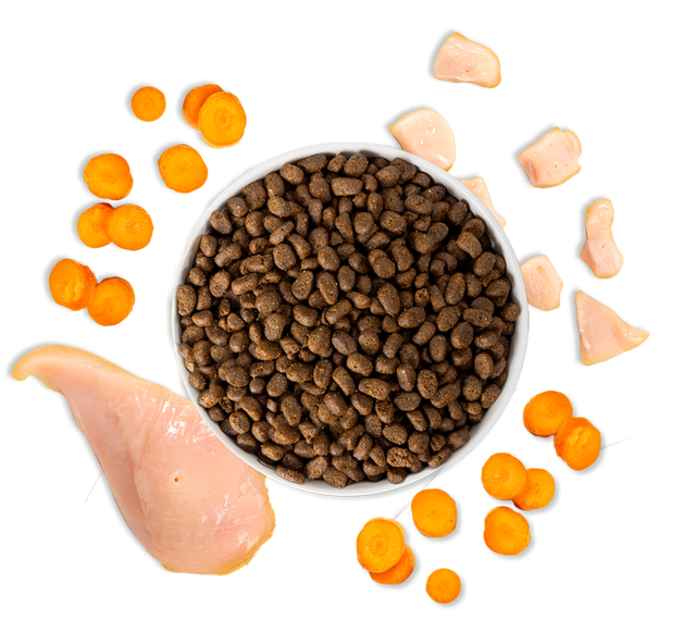 chicken kitten dry food