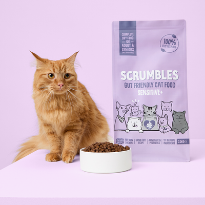 Sensitive+ Dry Cat Food Bowl