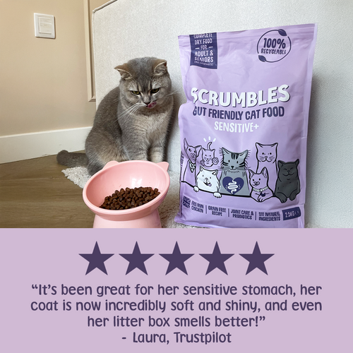 Sensitive+ Dry Cat Food