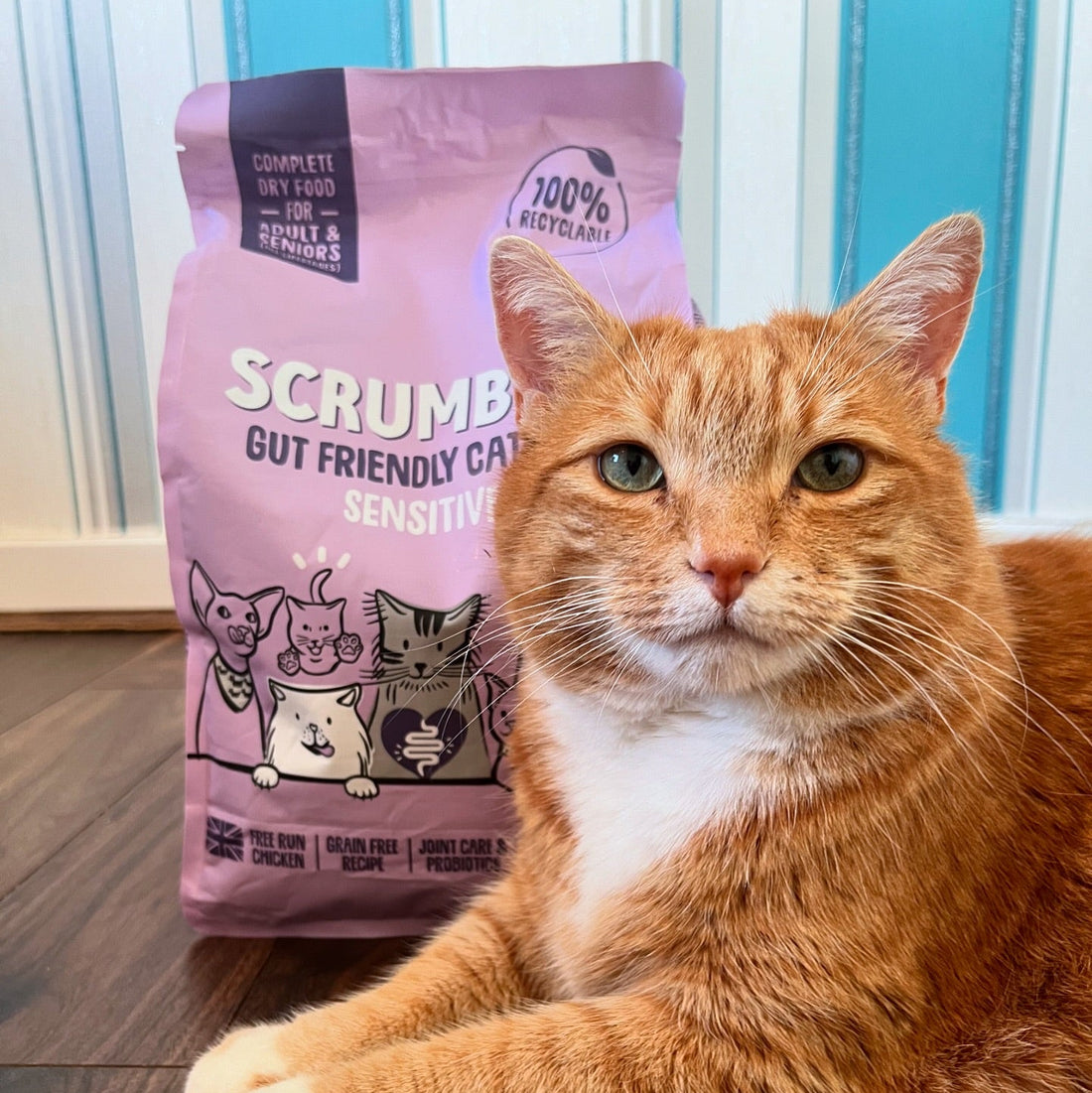 Sensitive+ Dry Cat Food