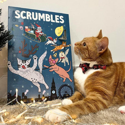 scrumbles cat advent calendar usps ugh