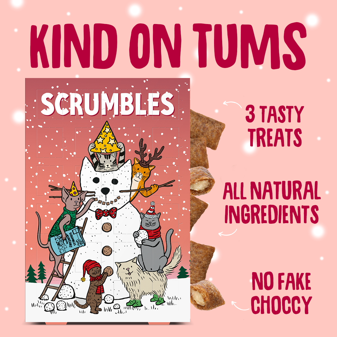 Cat Advent Calendar Gut Friendly