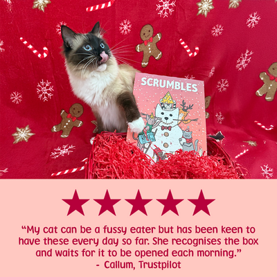 Cat Advent Calendar Review