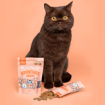 Chicken Krunchies Cat Treats