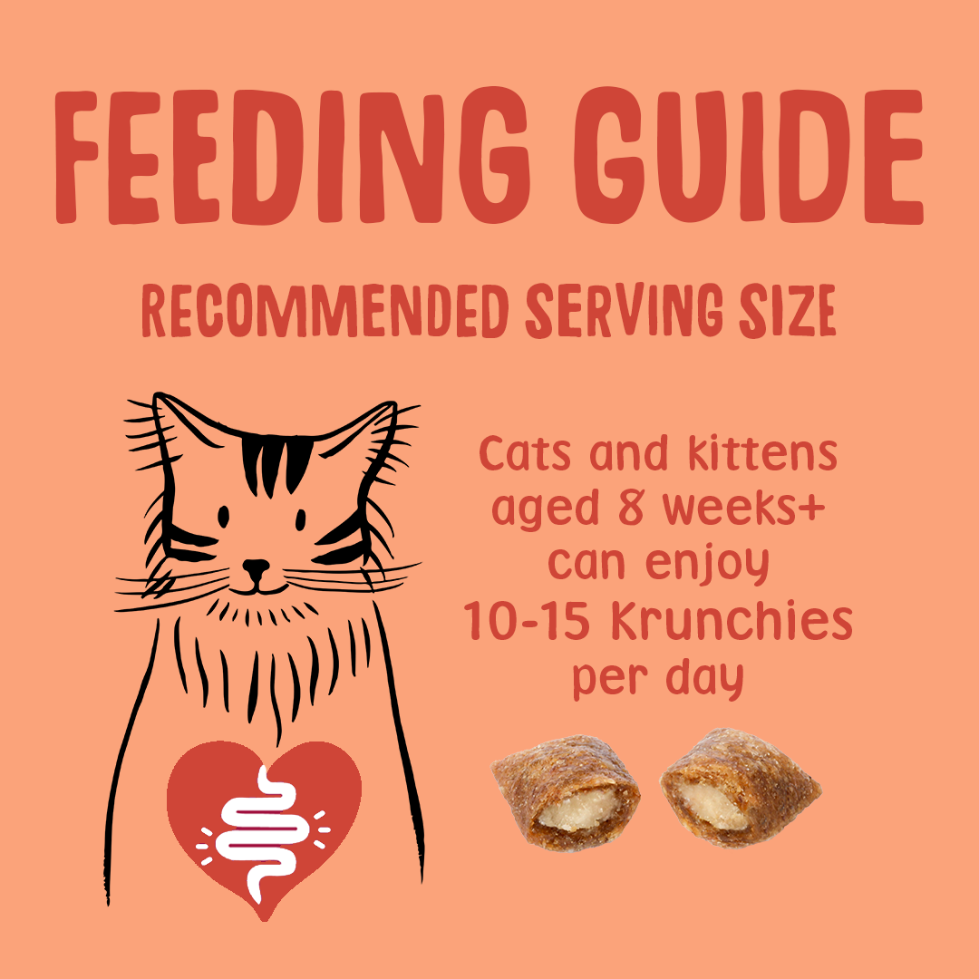 Chicken Krunchies Cat Treats Feeding
