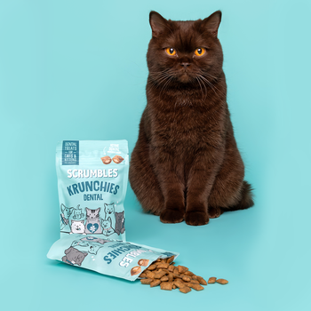 Dental Krunchies Cat Treats
