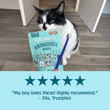 Dental Krunchies Cat Treats Review