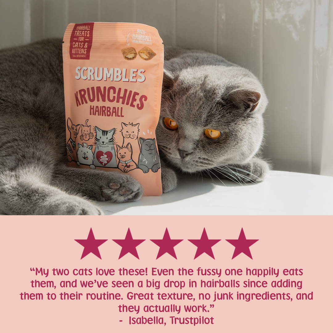 Hairball Krunchies Cat Treats Review