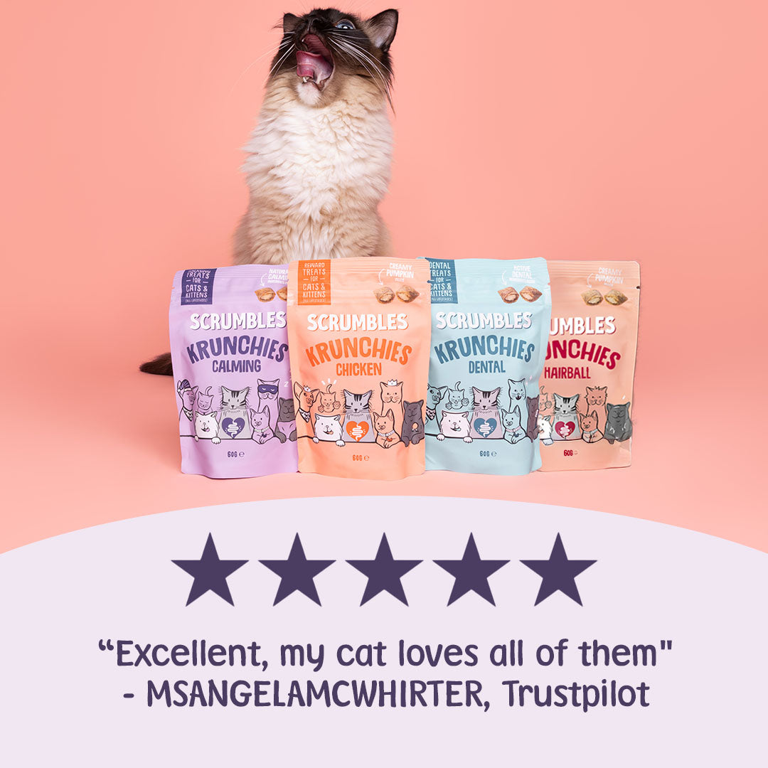 Cat sitting behind Scrumbles Krunchies cat food packages with a five-star rating and Trustpilot review on a pink background.
