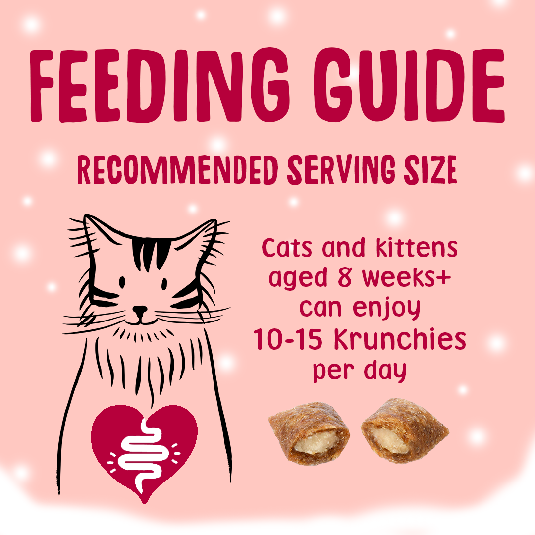 Christmas Turkey Krunchies Cat Treats Feeding