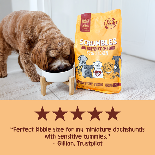 Chicken Dry Dog Food