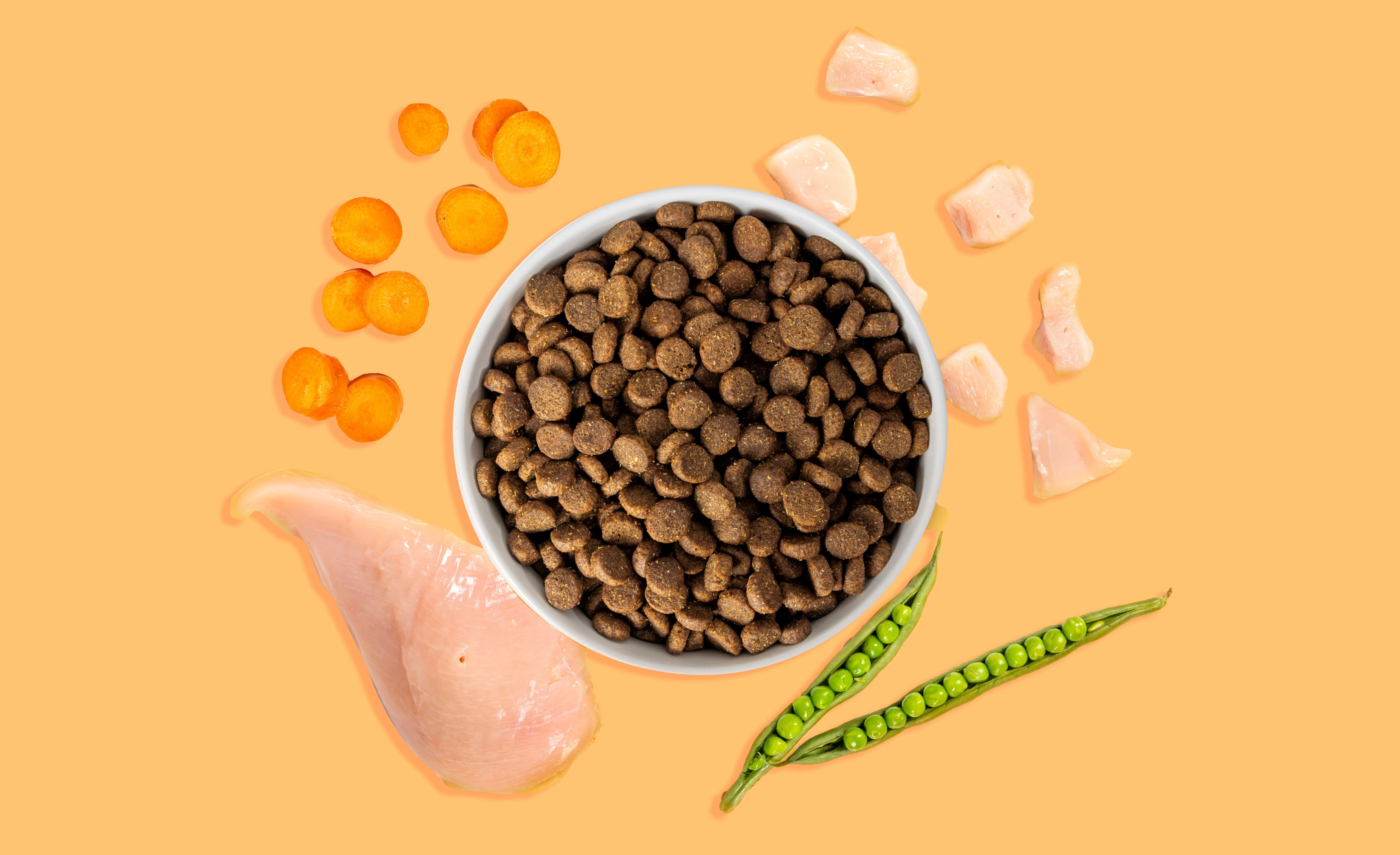 chicken dry dog food