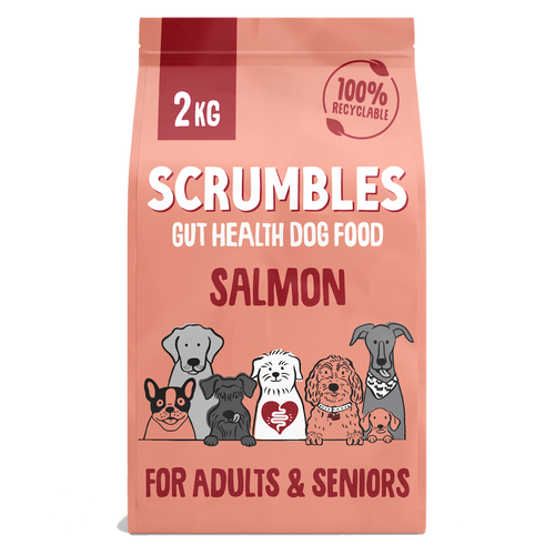 Salmon Dry Dog Food