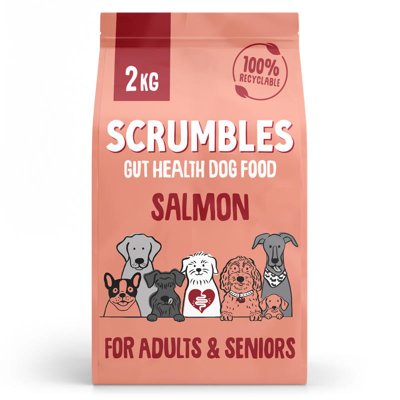 Salmon Dry Dog Food Ingredients