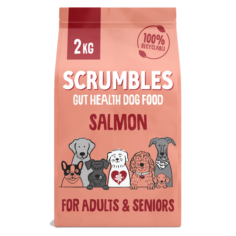 Salmon Dry Dog Food