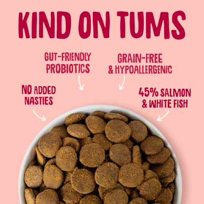 Salmon Dry Dog Food Gut Friendly