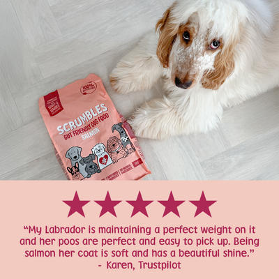 Salmon Dry Dog Food