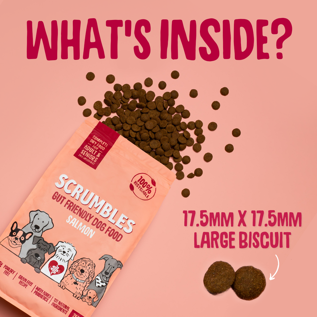 Salmon Dry Dog Food Size