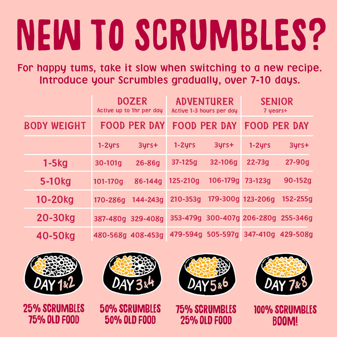 Salmon Dry Dog Food Feeding