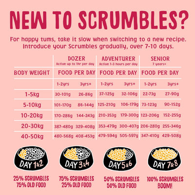 Salmon Dry Dog Food Feeding