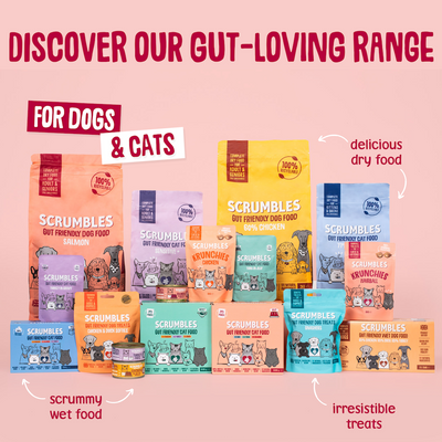 Salmon Dry Dog Food Range