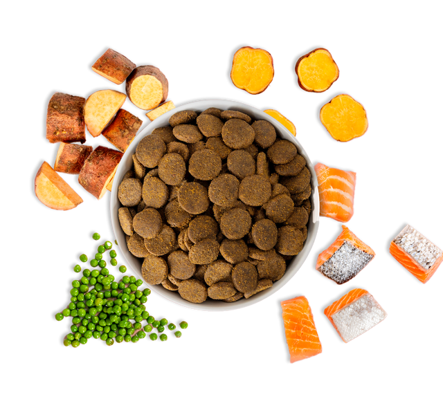 Salmon dry dog food