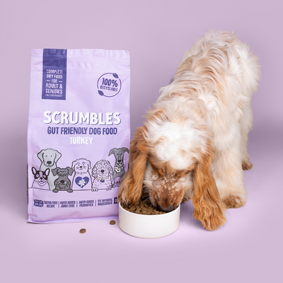 Turkey Dry Dog Food