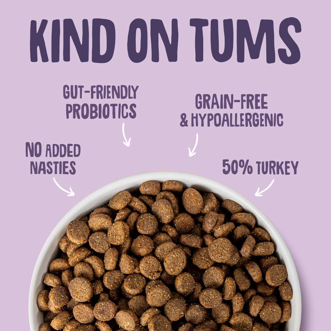 Turkey Dry Dog Food Gut Friendly