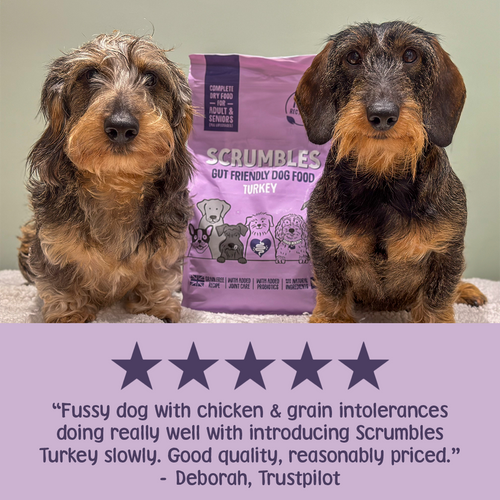 Turkey Dry Dog Food