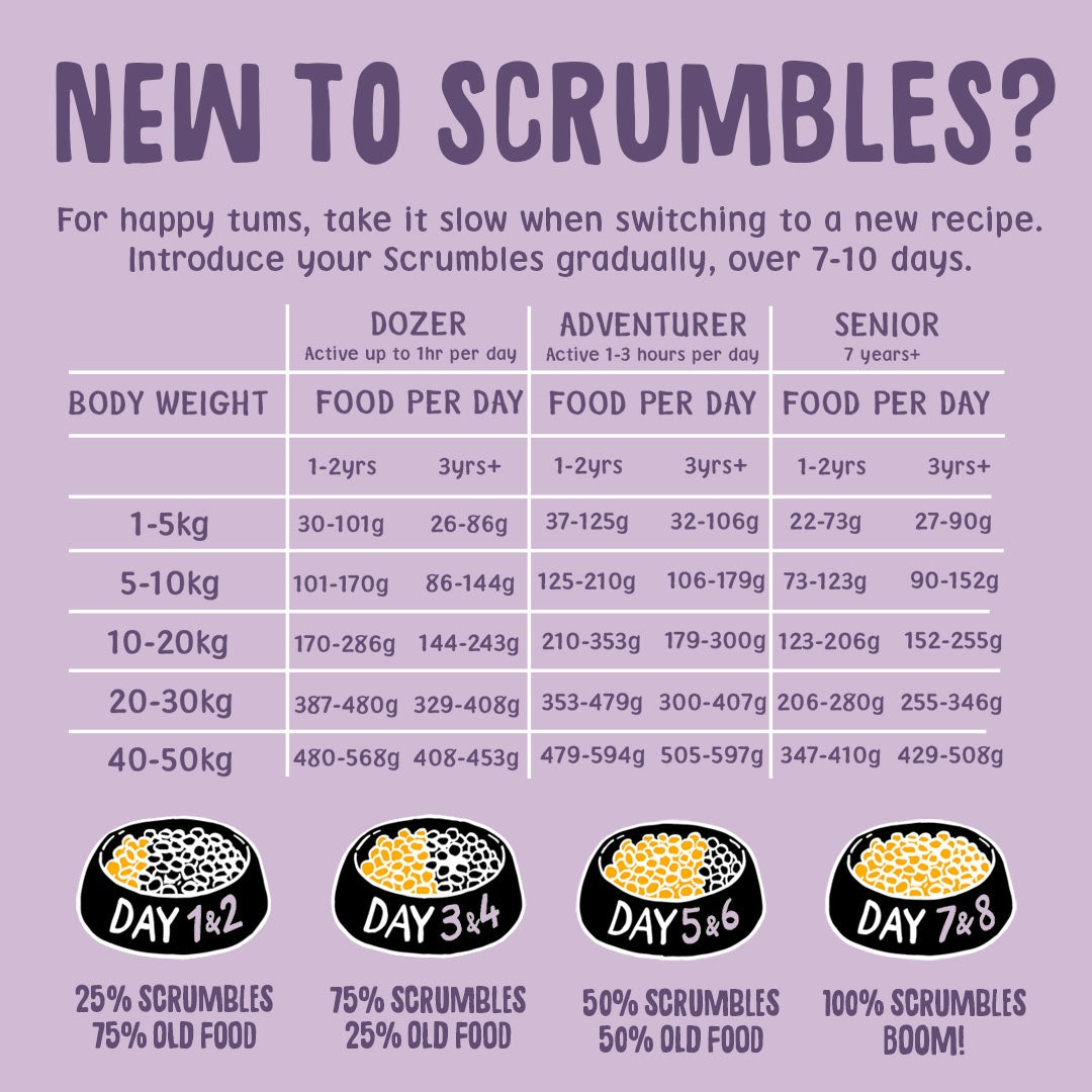 Turkey Dry Dog Food Feeding