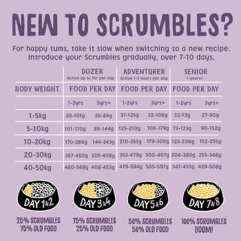 Turkey Dry Dog Food Feeding