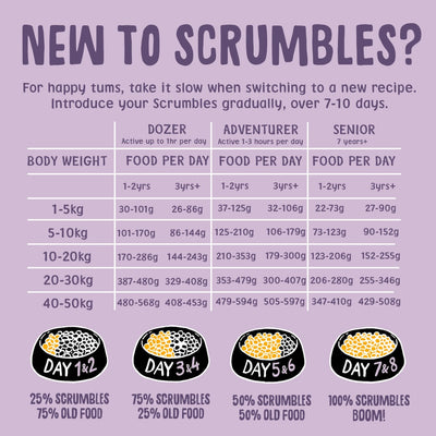 Turkey Dry Dog Food Feeding