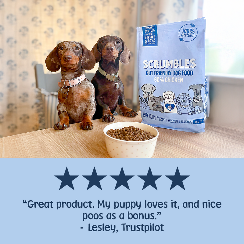 Puppy & Toy Dry Dog Food Review