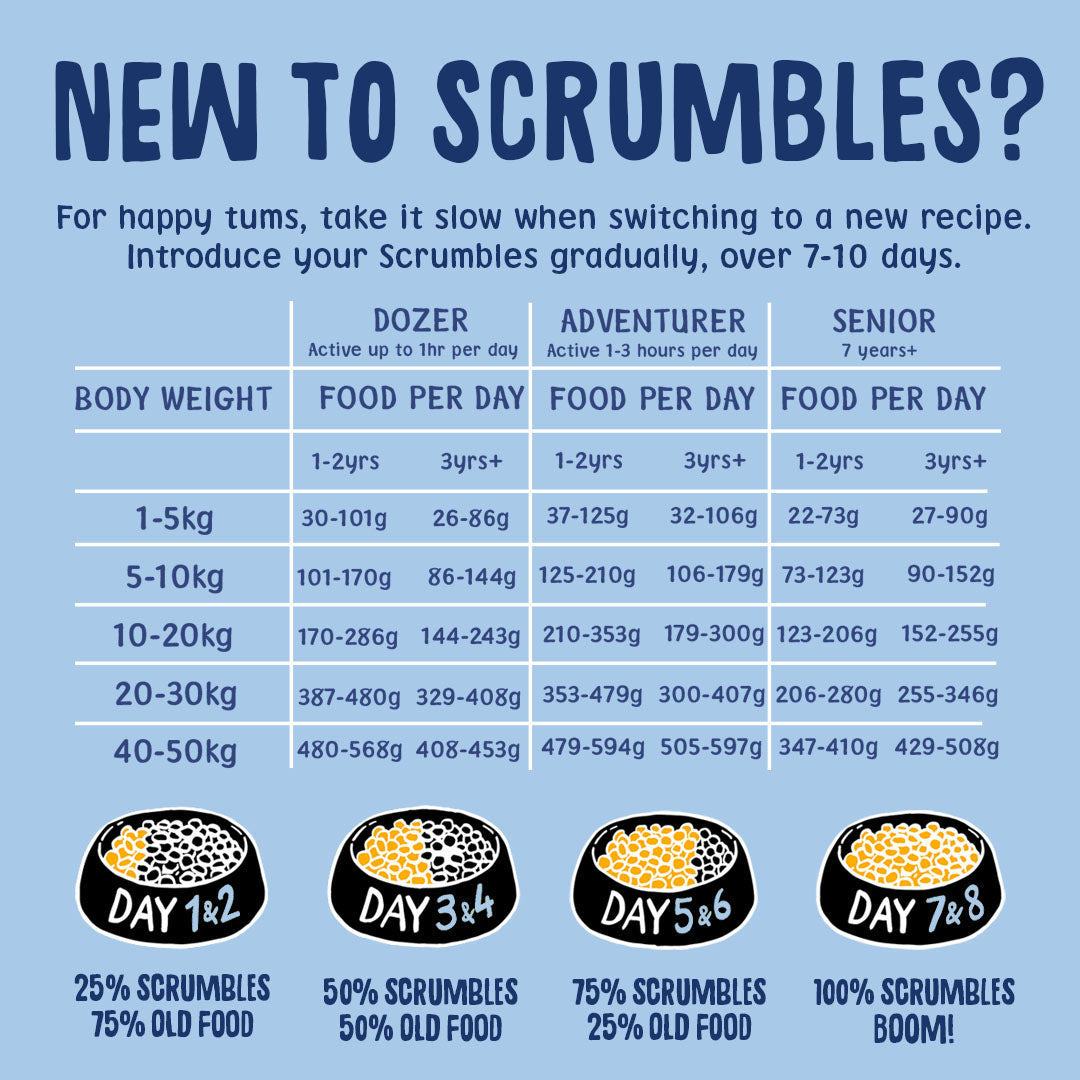 Puppy & Toy Dry Dog Food Feeding