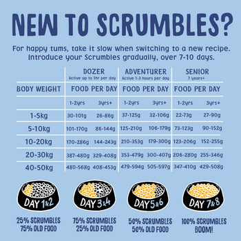 Puppy & Toy Dry Dog Food Feeding