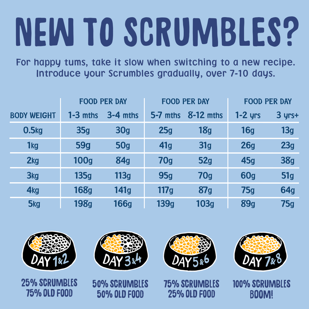 Puppy & Toy Dry Dog Food Feeding Recco