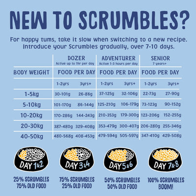 Puppy & Toy Dry Dog Food Feeding