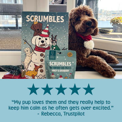 Dog Advent Calendar Review
