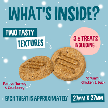 Dog Advent Calendar Inside