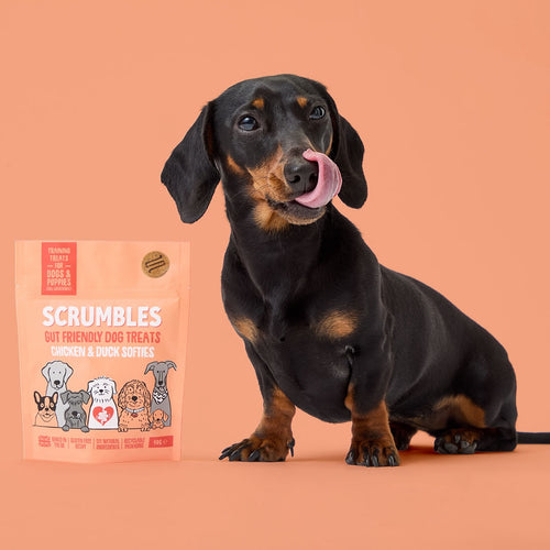 Chicken & Duck Softies Dog Treats