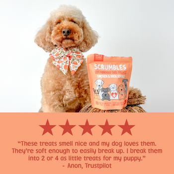 Chicken & Duck Softies Dog Treats Review
