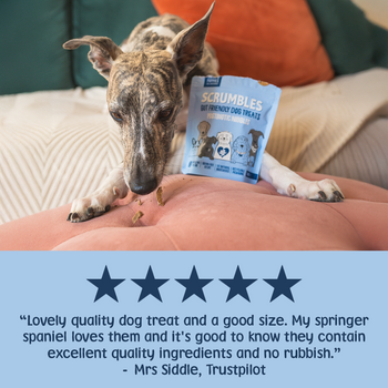 Postbiotic Nibbles Dog Treats Review